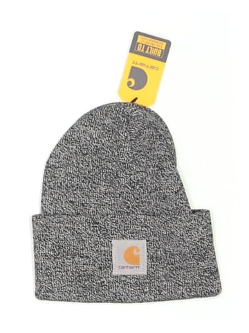 Carhartt Beanie (view 1)