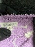 Kate Mack 100% Polyester Floral Purple Pullover Sweater Size 2T - photo 3