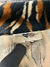 Heart Soul 100% Polyester Animal Print Brown Blazer Size S - photo 6