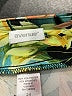 Avenue Tropical Green Casual Pants Size 24 - photo 4