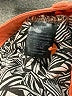 Volcom 100% Cotton Solid Orange Shorts Size 5 - photo 4