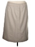 Calvin Klein Solid Tan Formal Skirt Size 16 - photo 2