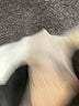 LoveShackFancy Ivory Pullover Sweater Size XXS - photo 8
