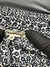 Max Studio Print Blue Casual Pants Size 1X - photo 4