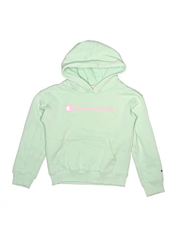 Champion Pullover Hoodie (view 1)