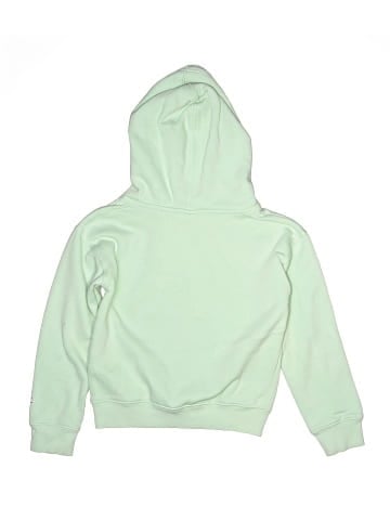 Champion Pullover Hoodie (view 2)