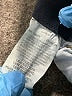 Lee Blue Jeans Size 18 - photo 5