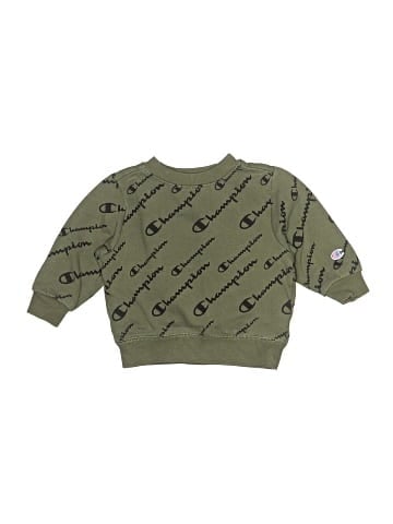 Champion Pullover Sweater (view 1)