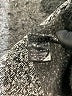 NFL Gray Fleece Size M - photo 7
