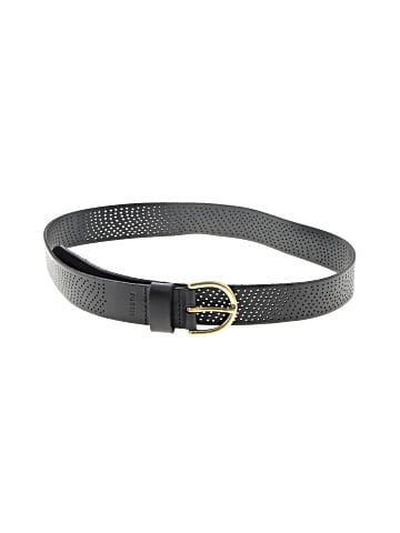Fossil Belt (view 1)