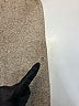 ShoSho Tan Casual Pants Size M - photo 3