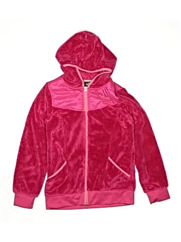 The North Face Zip Up Hoodie (view 1)