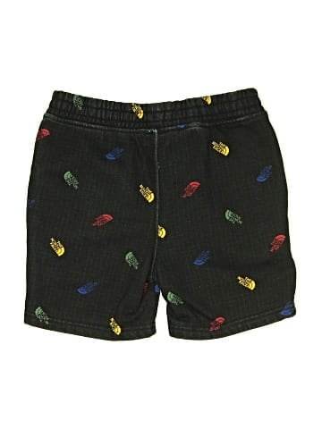 The North Face Shorts (view 2)