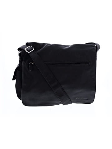 Fossil Messenger (view 1)