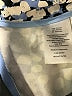Talbots Animal Print Blue Active Pants Size 14 - photo 6