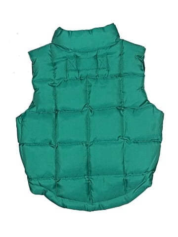 Gap Vest (view 2)