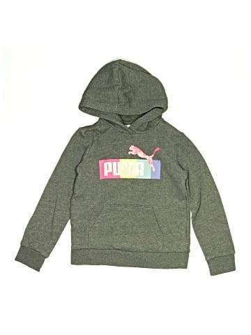 Puma Pullover Hoodie (view 1)
