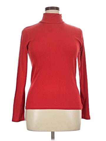 Everlane Long Sleeve Turtleneck (view 1)