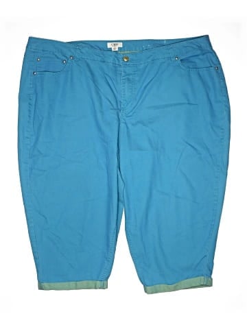 Cato Shorts (view 1)