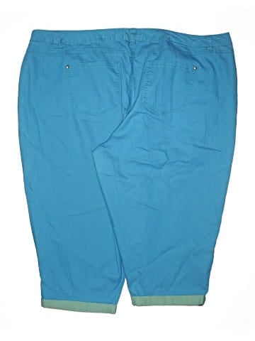 Cato Shorts (view 2)