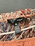 Aqua 100% Polyester Paisley Orange Long Sleeve Blouse Size S - photo 7