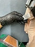 Sanctuary Solid Ivory Athletic Shorts Size XXS - photo 4