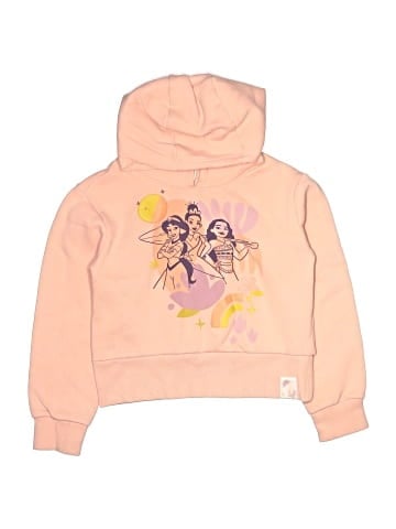 Disney Pullover Hoodie (view 1)