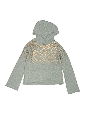Splendid Pullover Hoodie (view 1)