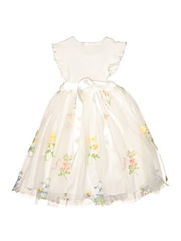 Unbranded Dress (view 2)