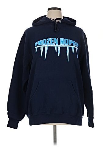 Russell Athletic Pullover Hoodie (view 1)