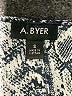 A. Byer 100% Polyester Silver Long Sleeve Blouse Size S - photo 7