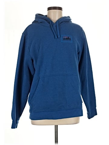 Patagonia Pullover Hoodie (view 1)