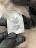 Joie 100% Rabbit Fur Chevron-herringbone Ivory Jacket Size M - photo 8