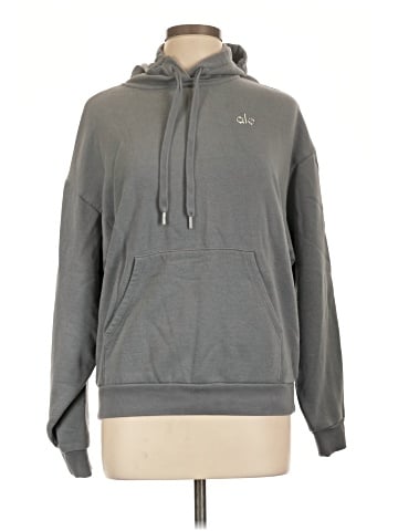 Alo Pullover Hoodie (view 1)