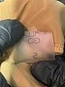 Calia Brown Casual Pants Size S - photo 9
