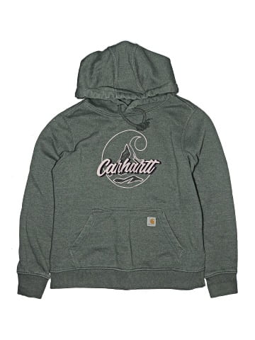 Carhartt Pullover Hoodie (view 1)