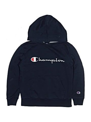 Champion Pullover Hoodie (view 1)