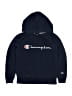 Champion Blue Pullover Hoodie Size S (youth) - photo 1