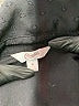 Candie's 100% Polyester Black Long Sleeve Blouse Size M - photo 7