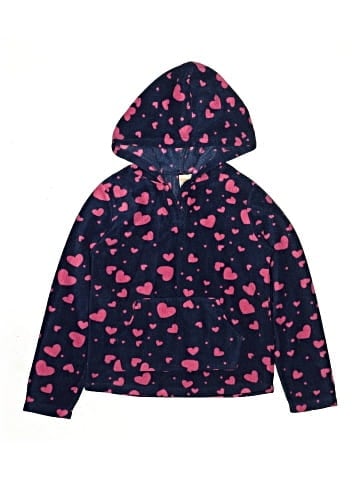 Gymboree Pullover Hoodie (view 1)