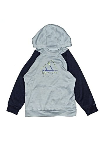 Adidas Pullover Hoodie (view 1)
