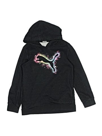 Puma Pullover Hoodie (view 1)