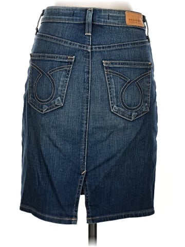Big Star Denim Skirt (view 2)
