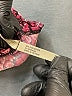 White Stag Paisley Burgundy Cocktail Dress Size S - photo 7