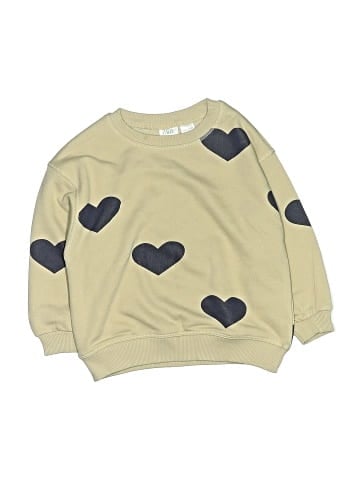 Zara Sweatshirt (view 1)