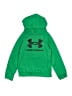 Under Armour Green Pullover Hoodie Size S (youth) - photo 1