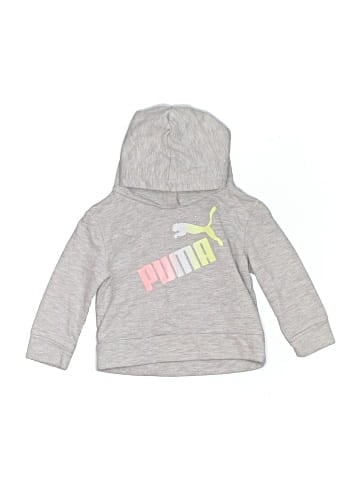 Puma Pullover Hoodie (view 1)
