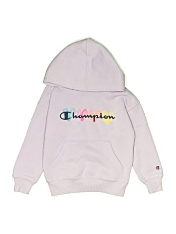 Champion Pullover Hoodie (view 1)