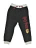 Harry Potter Gray Casual Pants 18-24 MO / 24 MO - photo 1