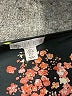 Lila Rose 100% Polyester Black Sleeveless Blouse Size L - photo 4